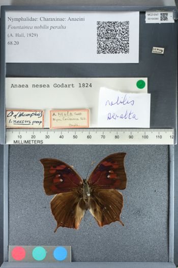 Media type: image;   Entomology 164380